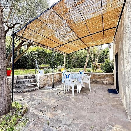 Apartament Jardin & Terrasse Ombragee - T2 Cozy Et Paisible La Garde  Zewnętrze zdjęcie